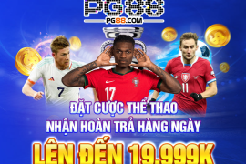 Những trò chơi cá cược phổ biến trên 55win55 com